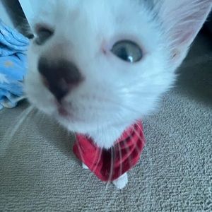 Meet your Posher, Ana